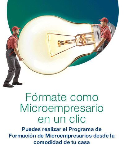 Programa de Formación de Microempresarios