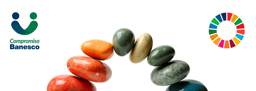 Balance Social Banesco