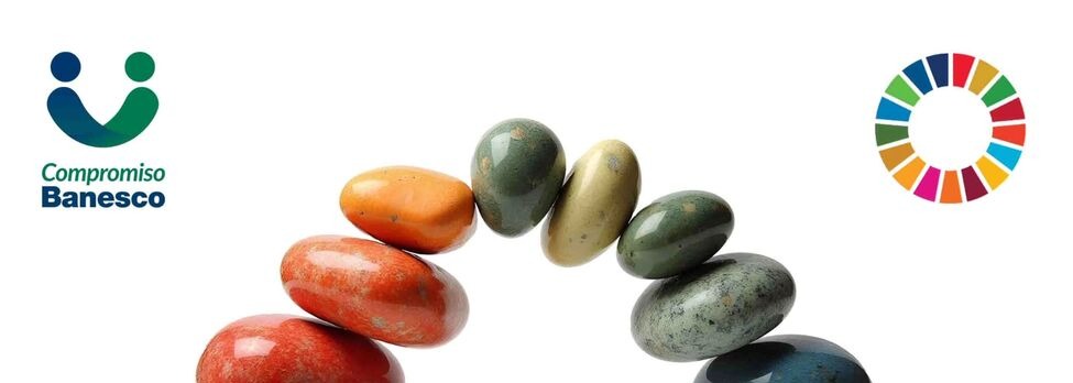 Balance Social Banesco