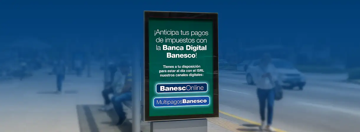 Tenemos las mejores opciones para <b style="font-weight: 900;">pagar tus impuestos</b>