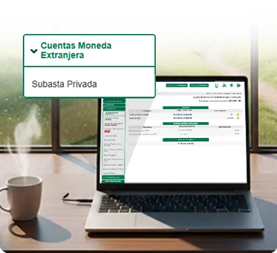 Paso 2 Subasta Privada BCV